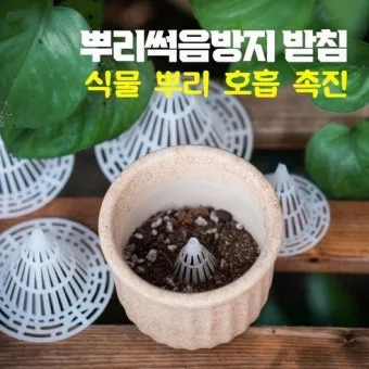 화분 뿌리썩음 예방 배수층강화 흙배합개선 물주기간격 체크리스트_12