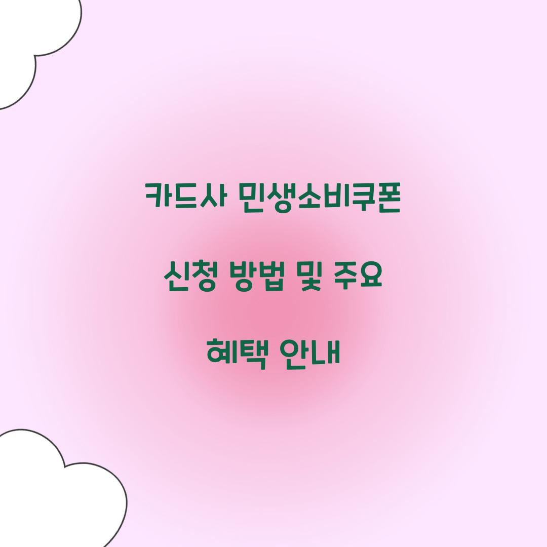 카드사 민생소비쿠폰