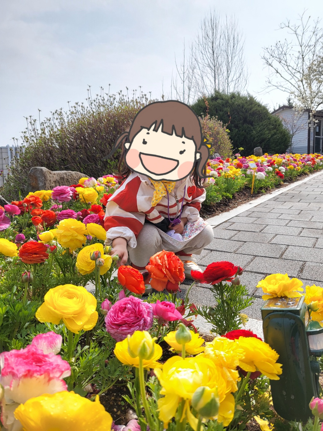 양귀비꽃과 아이