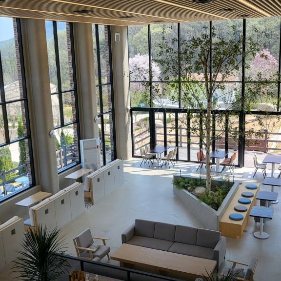 용인 자작나무숲 - 애견동반 입장료 펜션 예약