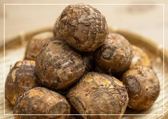 칼륨 음식 토란