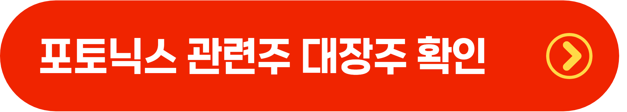실리콘 포토닉스 대장주 총정리 ❘ AI 반도체 핵심 수혜주