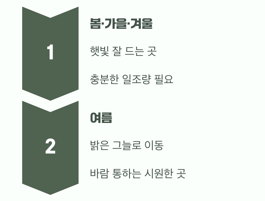 여왕님의 왕좌, 햇빛과 바람