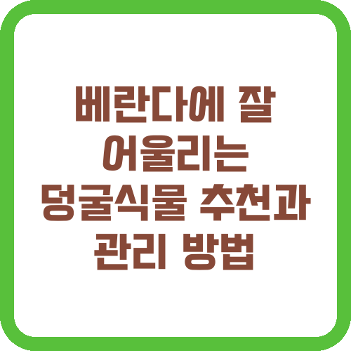 베란다에 잘 어울리는 덩굴식물 추천과 관리 방법