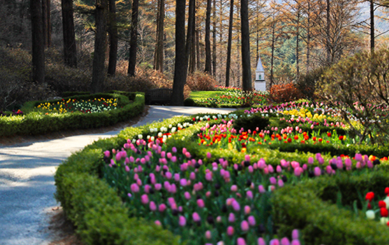 2024 가평 아침고요수목원 수국축제 기간 입장료 가는길