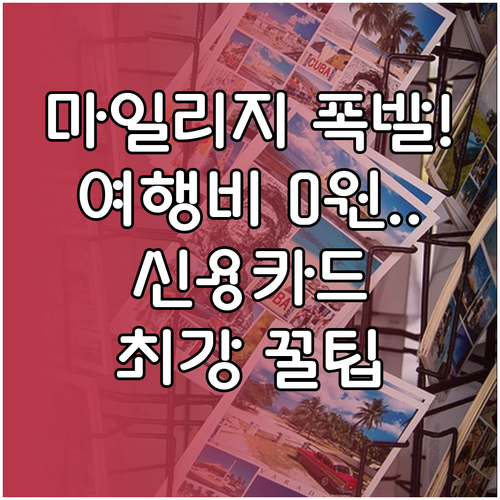 마일리지 포인트 최대화 여행 비용 최..