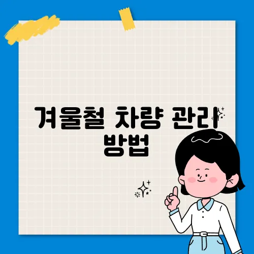 겨울철 차량 관리 방법