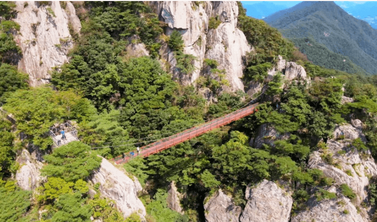 대둔산구름다리