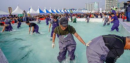 제주 최남단 방어축제