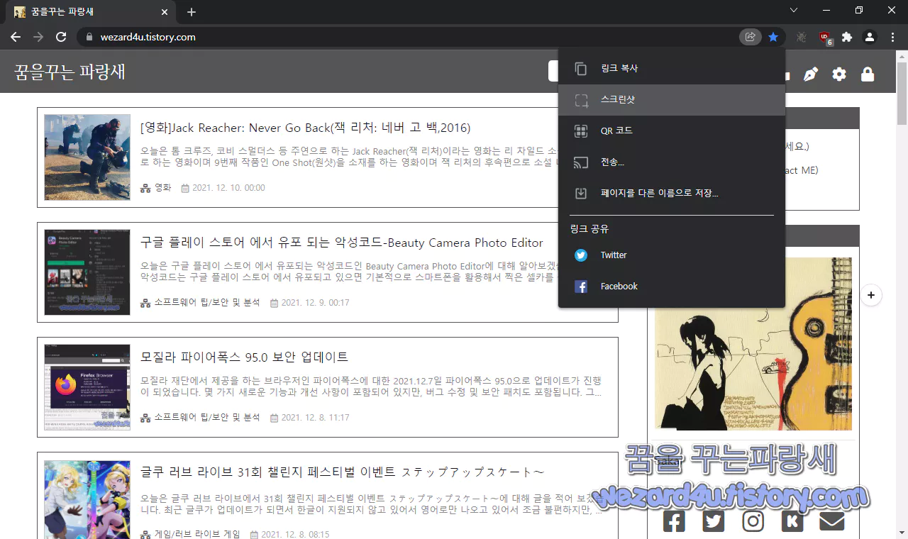 구글 크롬 스크린샷
