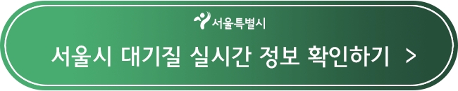 서울시 대기질 실시간 정보 확인