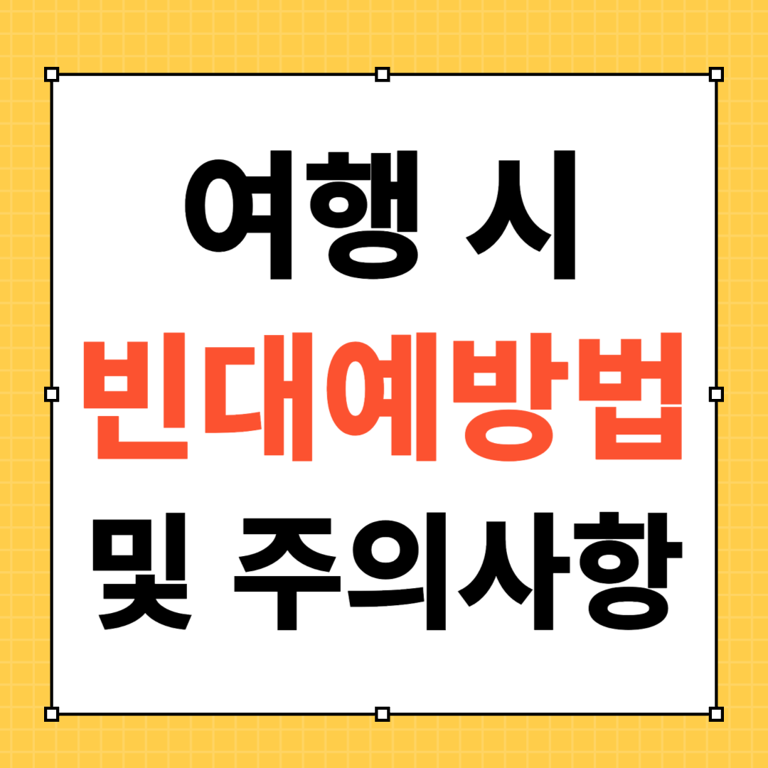 여행 빈대 예방법