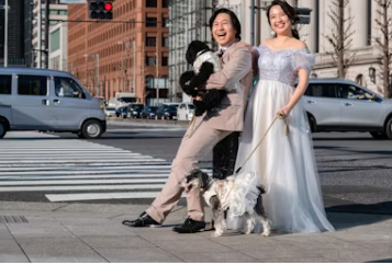 식용개 보상 개고기 식용 금지법 보상 식용개 사육농가 마리당 최대 60만원