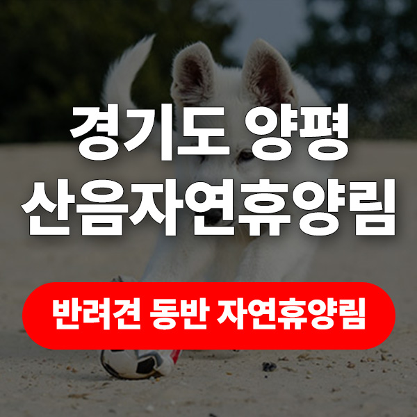 산음자연휴양림 예약, 반려견, 근처 맛집, 데크 명당 팁