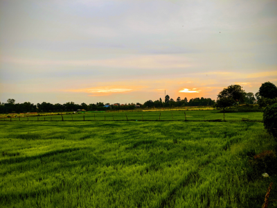 2025년 제21대 대통령 선거 사전투표 일정 참여 방법