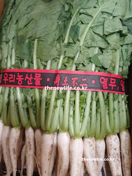 열무 효능 부작용 주의사항 신장 기능