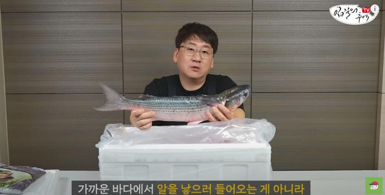 5월 제철 생선 숭어