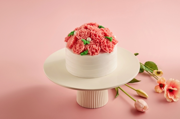 어버이날 카네이션 케이크 관련 이미지