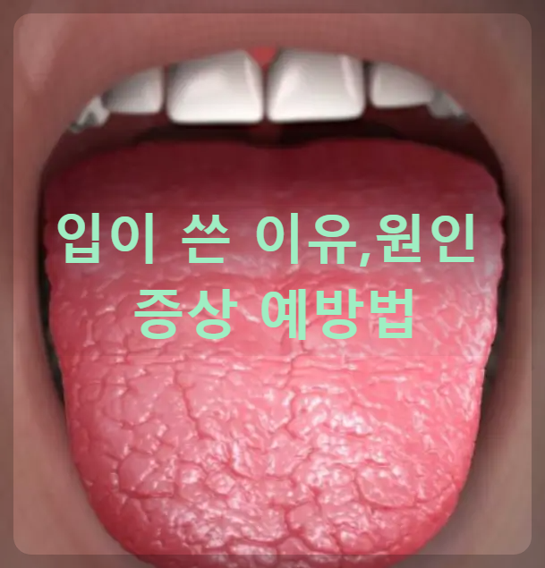 입이 쓴 이유