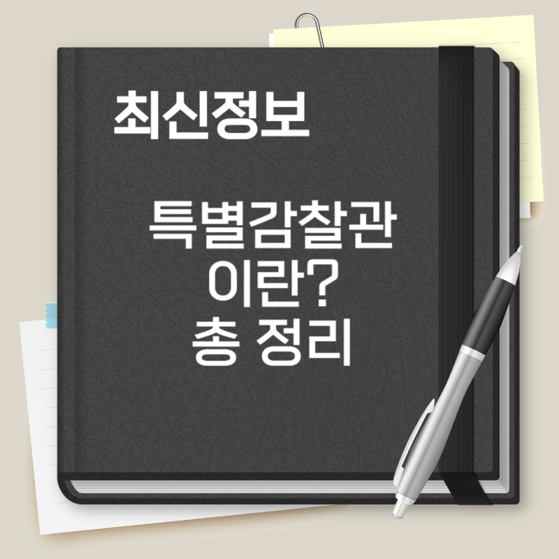 특별감찰관