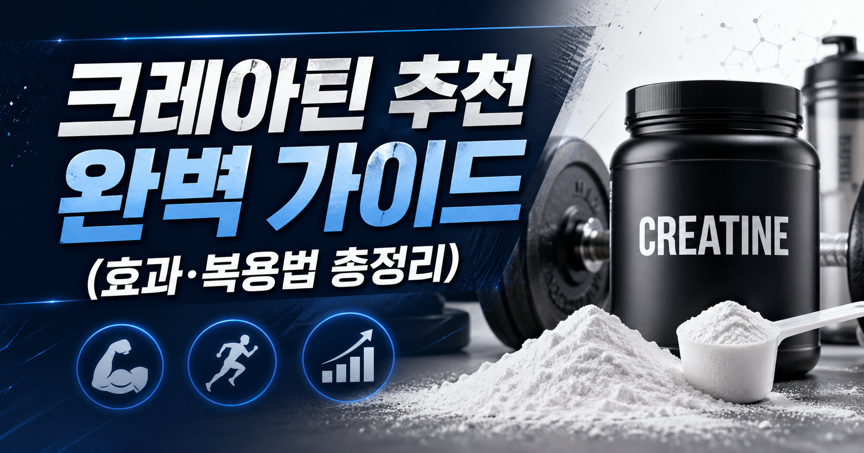 크레아틴 추천