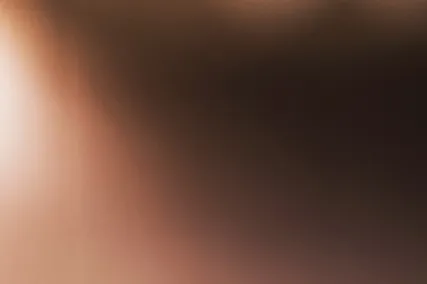 임영웅 콘서트 예매