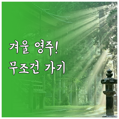 겨울 영주 여행 코스 무량수전 배흘림..