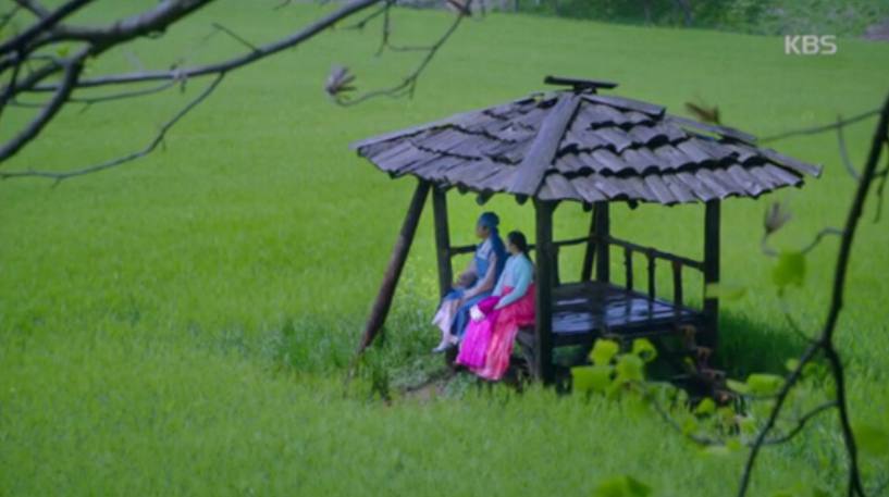 고창청보리밭축제