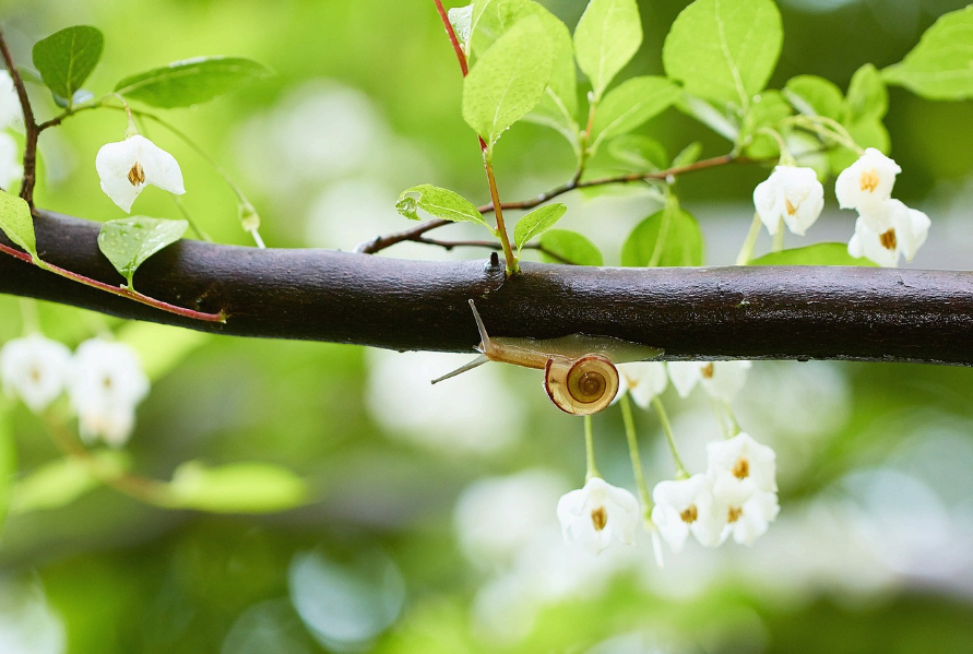 장마 시작 강원도