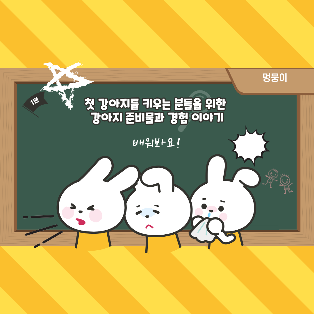 강아지와 처음 살 때 준비해야 할 것