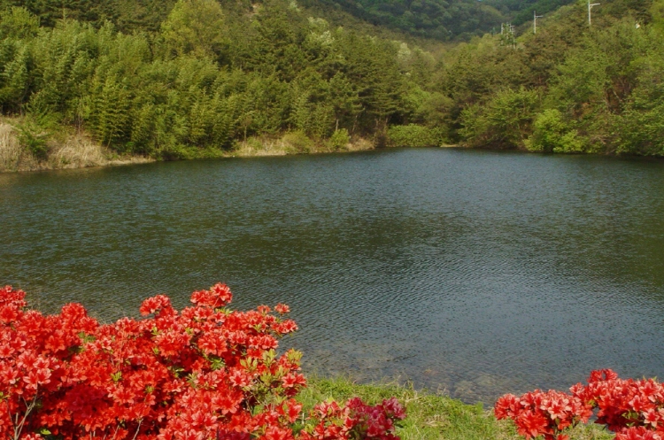 칠곡 송정자연휴양림