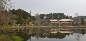 천리포 수목원 목련축제 입장료 여행코스_17