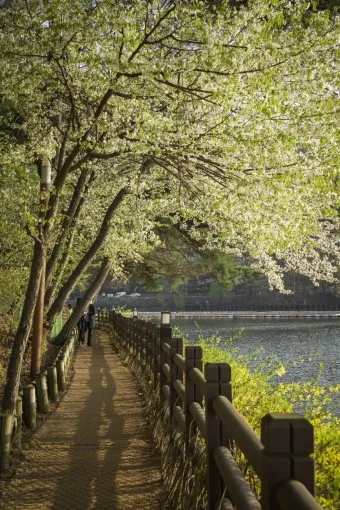 경산 가볼만한곳 베스트10 현지인 추천 필수코스_8