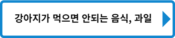 강아지가 먹으면 안되는 음식, 과일