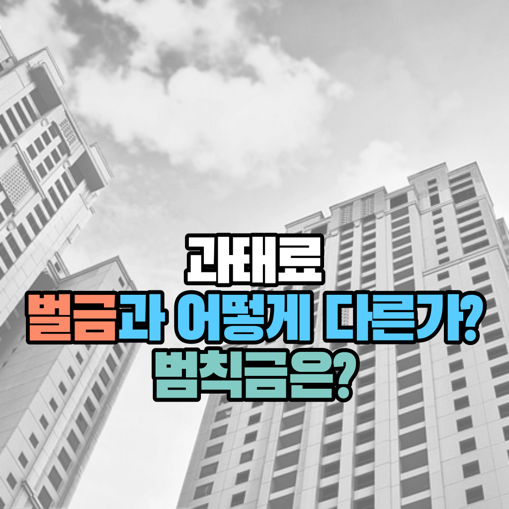 과태료&#44; 벌금과는 어떻게 다른가? 범칙금은?