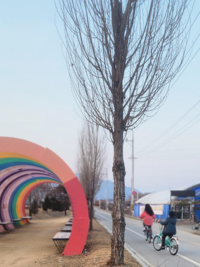 자전거 무료 대여