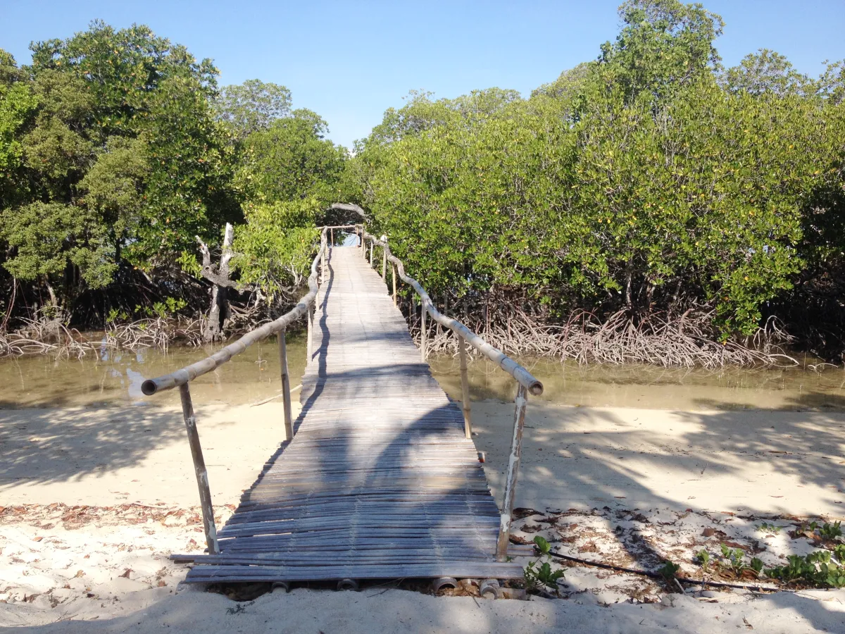 팔라완-도스팔마스-가볼만한곳