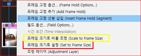 Scale, Set to Frame Size(프레임 크기 및 비율 조정)