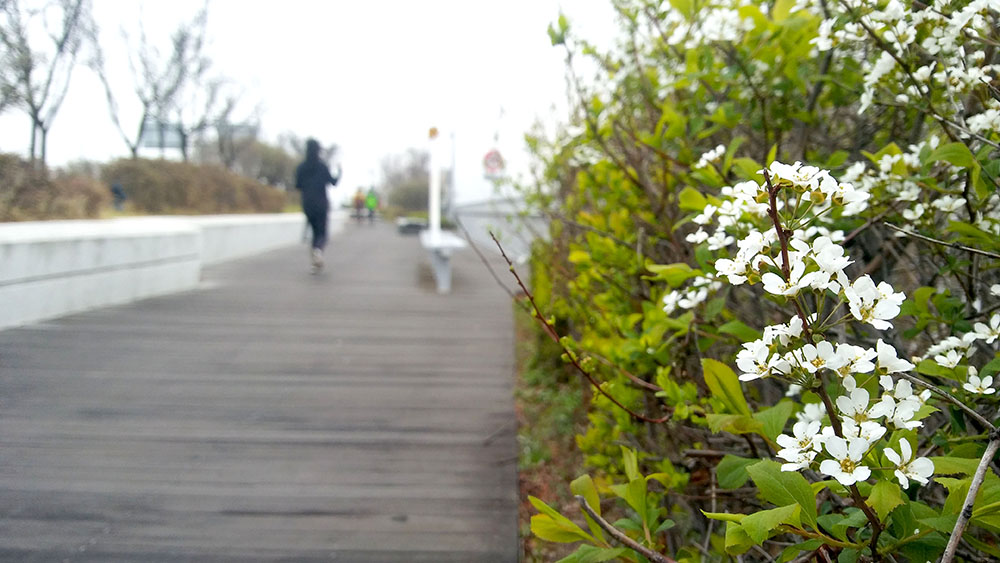 서울둘레길(SeoulTrail) 3-2 고덕산&amp;middot;일자산 코스 : 봄