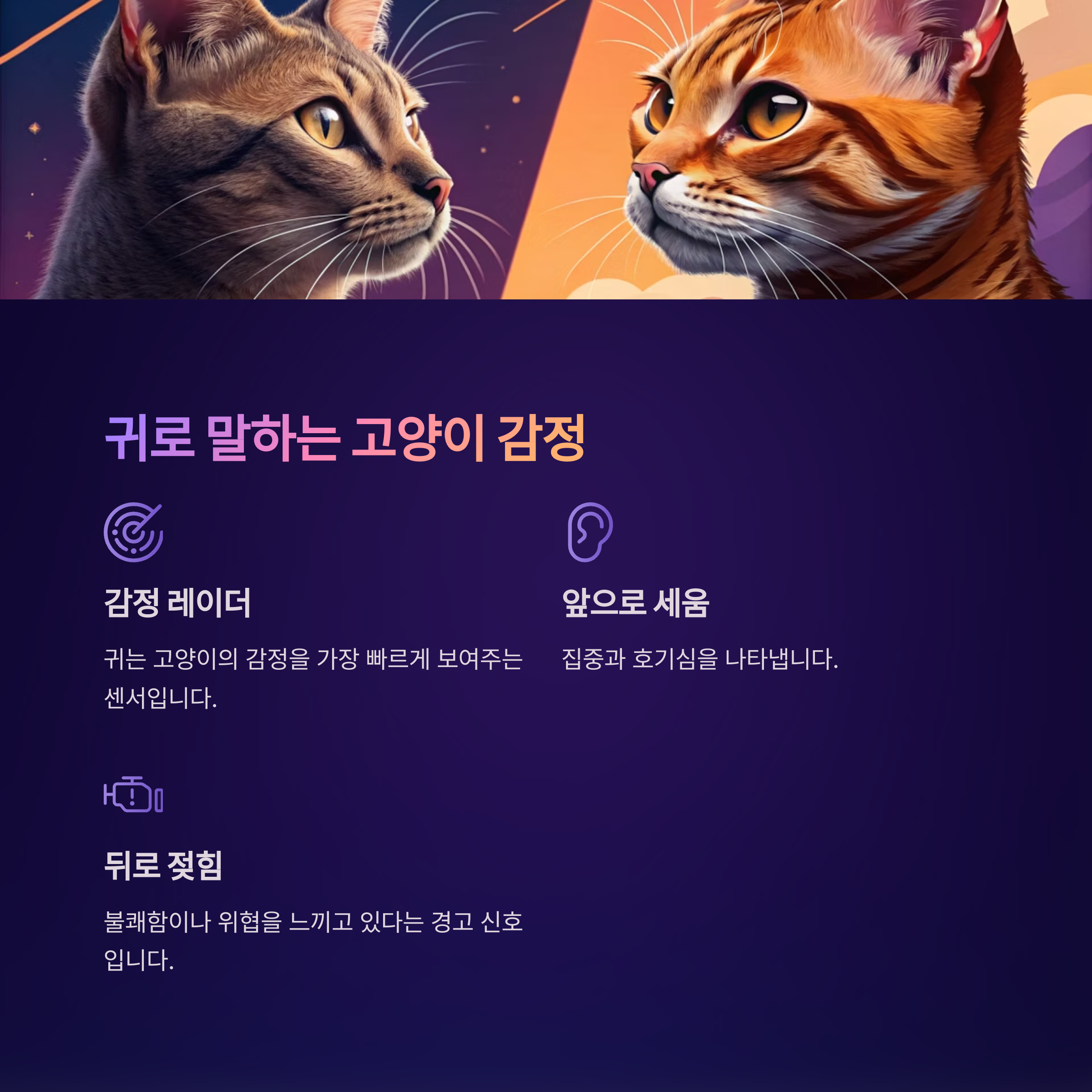 귀로 말하는 고양이 감정