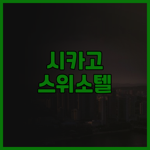 스위소텔 시카고 후기 미시간 애비뉴,..