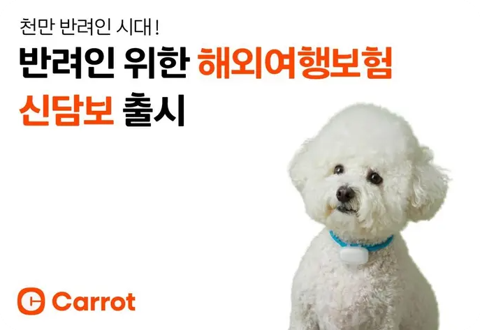 캐롯손해보험 반려인 대상 해외여행보험 신담보 출시 위탁 돌봄 비용 보상 내용 와요 펫시터 혜택 강아지 고양이