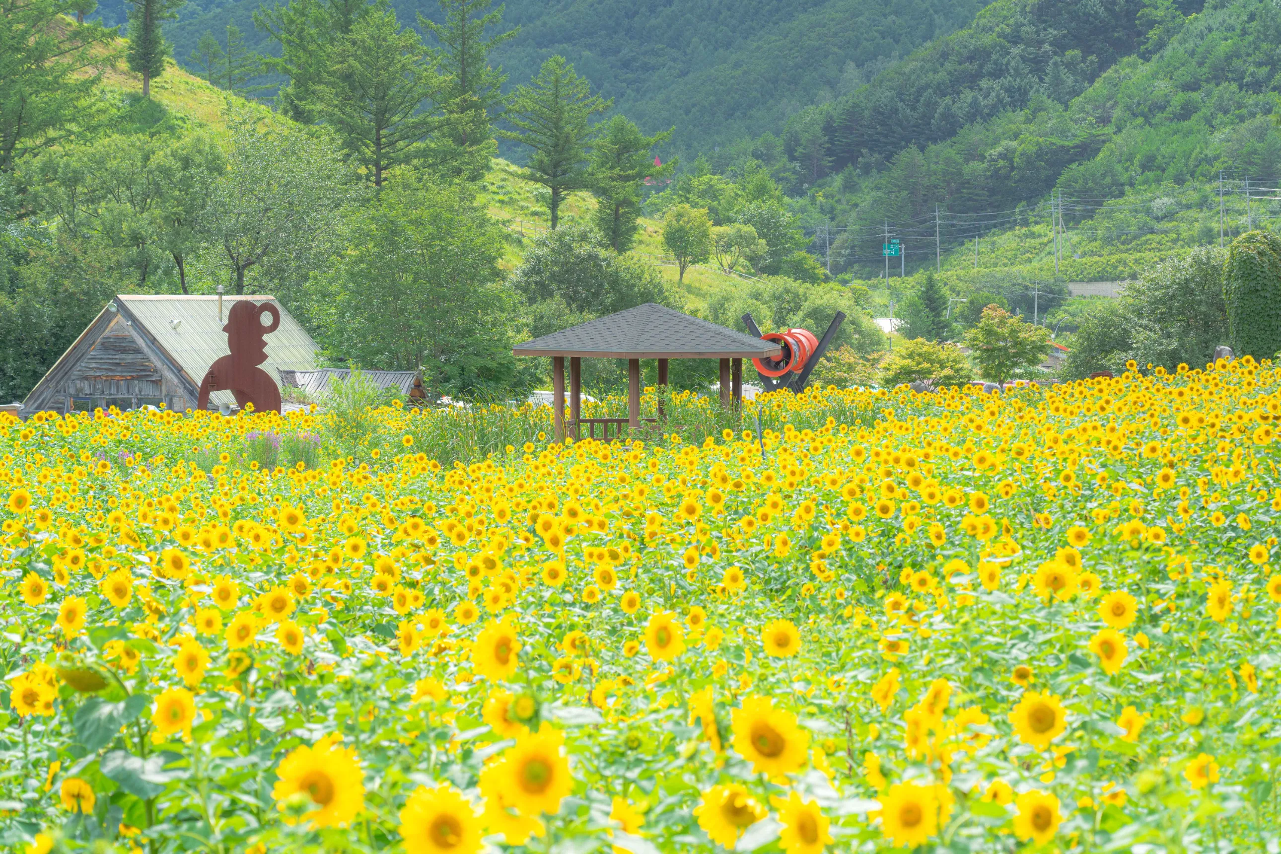 태백 가볼만한 곳