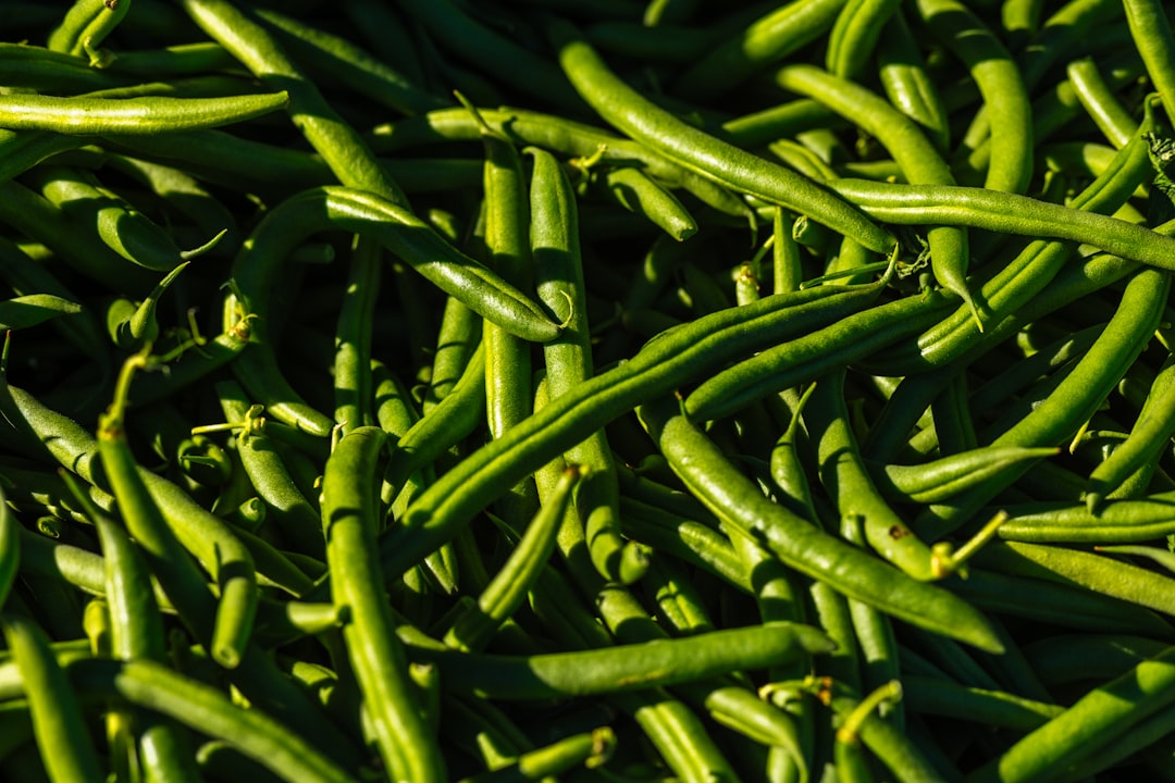 '두릅'의 영어 단어는 'Korean wild asparagus'입니다.