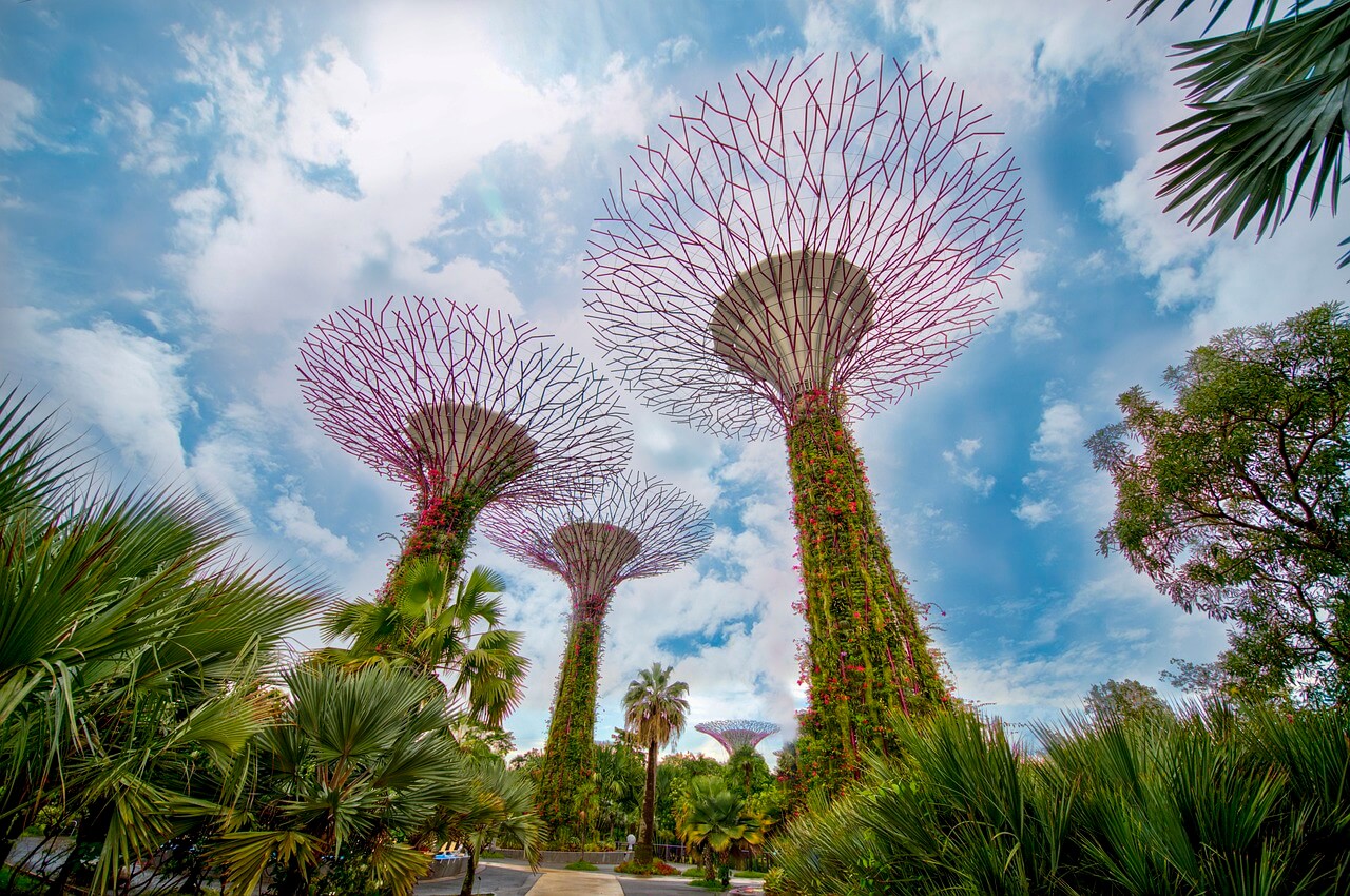 싱가포르 레이오버 vs 스탑오버 완벽 정리: 창이공항 200% 활용하는 법