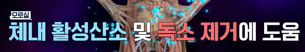 모로실 효능