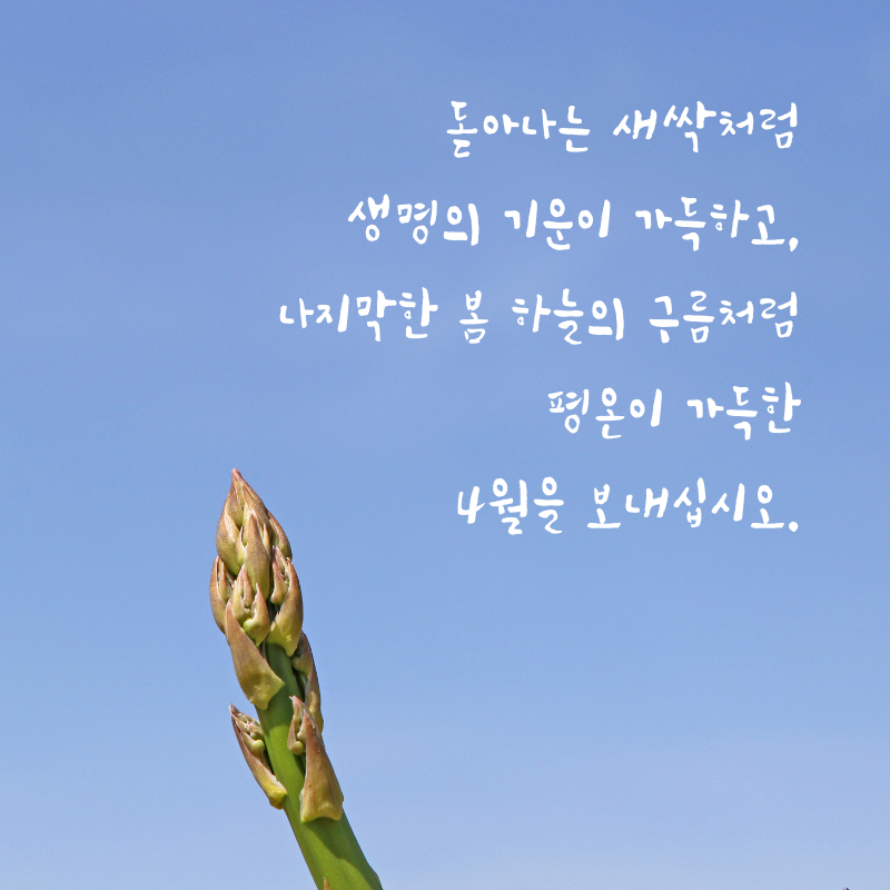 4월 인사말 문구 이미지 모음집