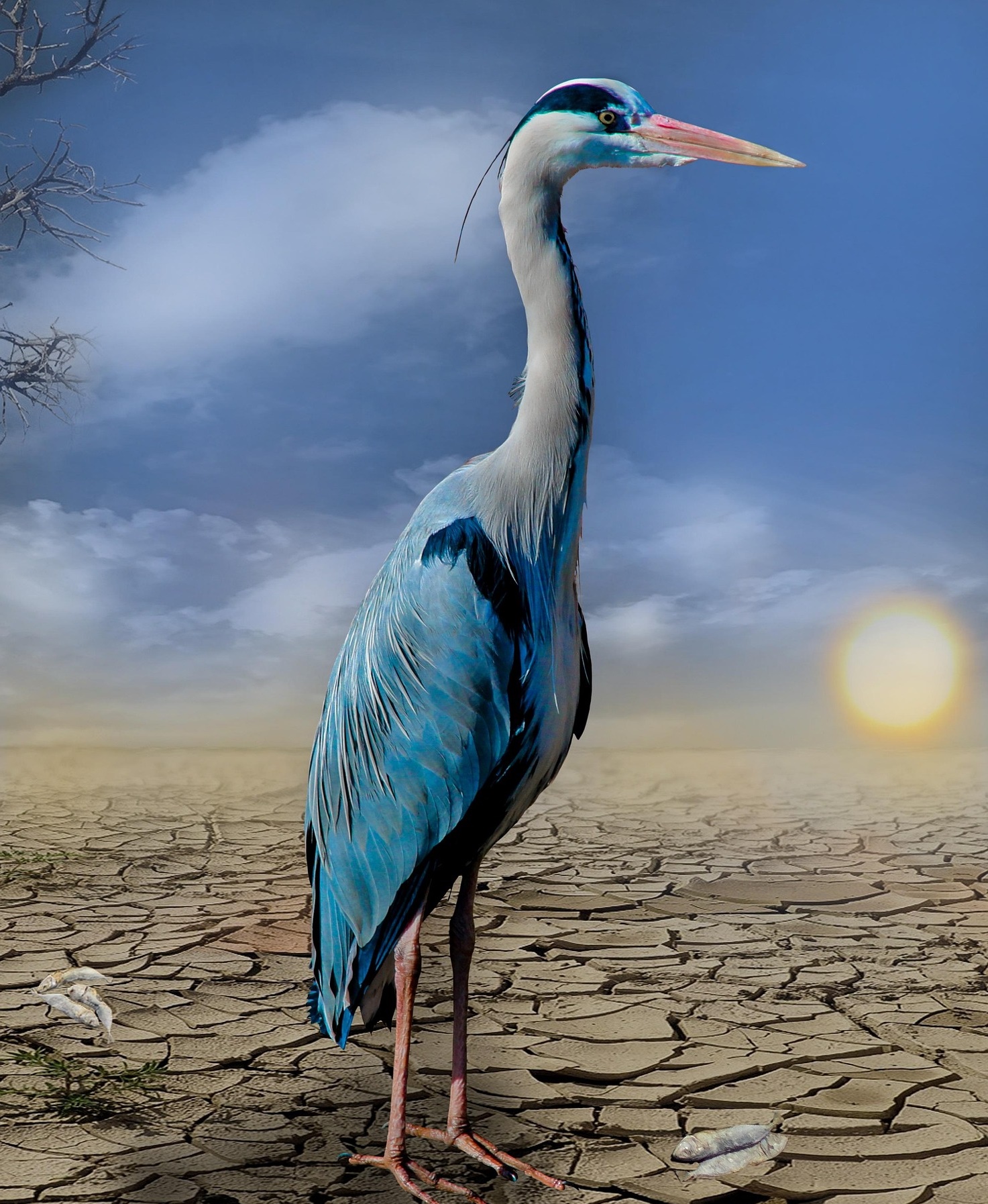 기후 재난 시대, 개인은 무엇을 준비해야 하는가!