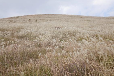 제주도 가볼만한곳 10곳
