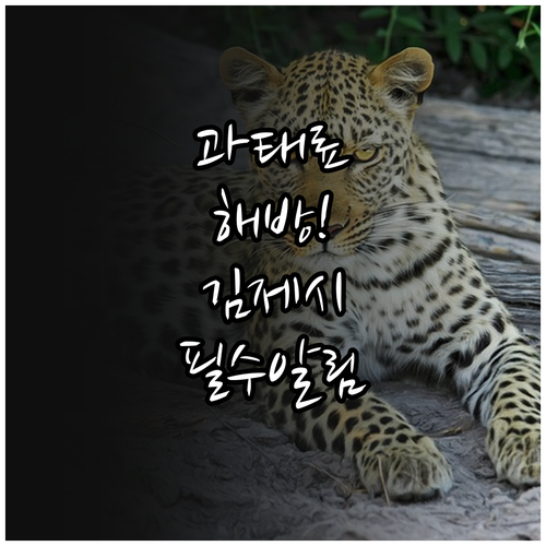 김제시 고정식 CCTV 주정차단속 문..